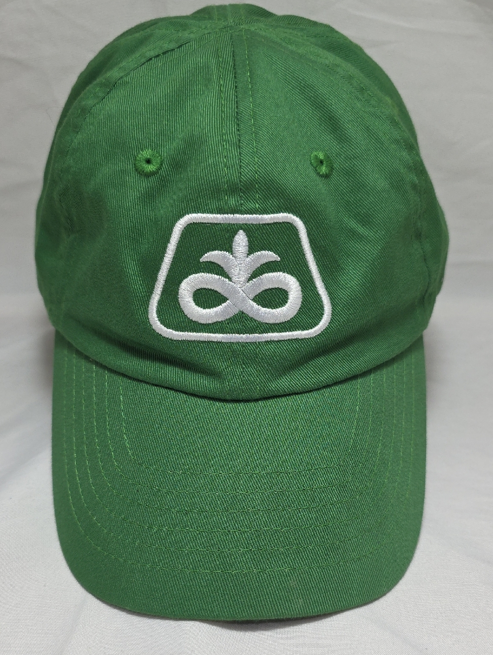 Pioneer Seeds Corteva Youth Adjustable Snapback Hat